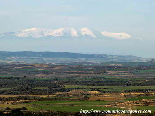 EL MONCAYO